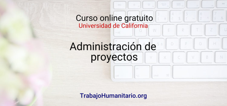 Curso online en administración de proyectos
