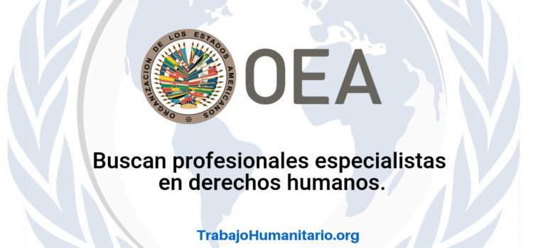 La OEA busca profesionales para sus vacantes