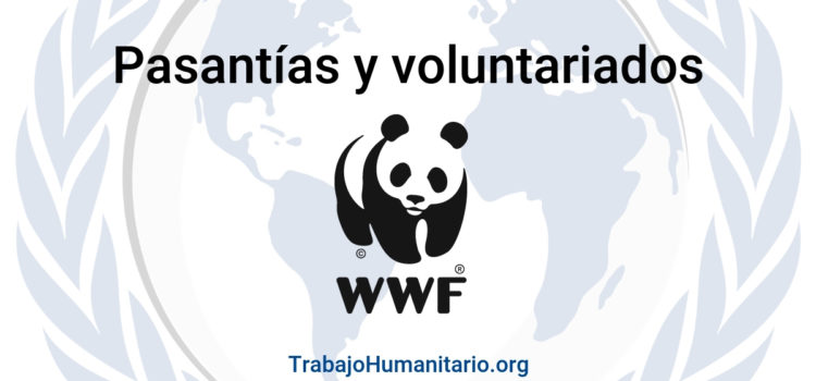 Pasantías y Voluntariados con WWF