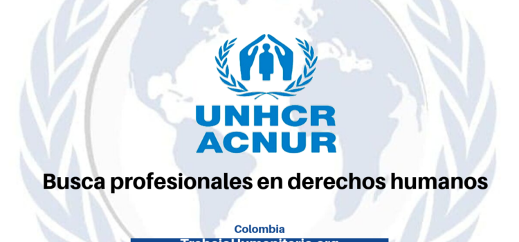 ACNUR busca profesionales con experiencia de trabajo con población en situación de desplazamiento