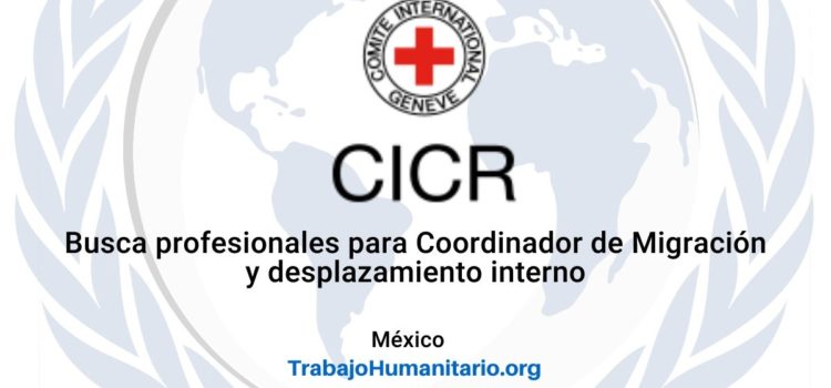 CICR en México busca Coordinador de Migración y Desplazamiento Interno