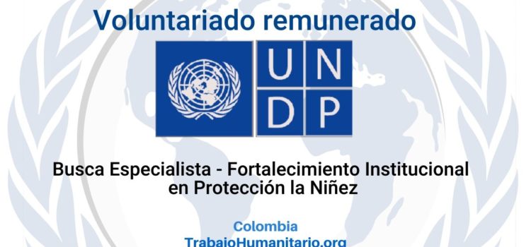 Voluntariado remunerado con PNUD: Especialista Fortalecimiento Institucional en Protección la Niñez