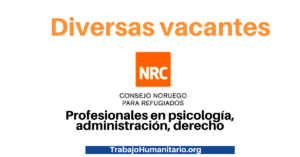 NRC busca profesionales