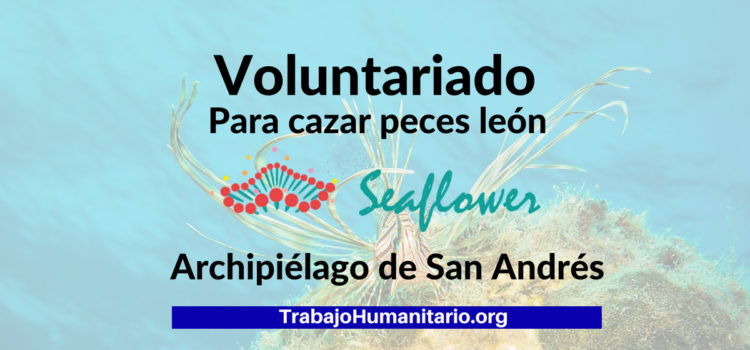 Voluntariado en San Andrés Islas (Colombia)