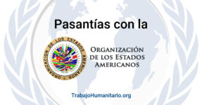 Pasantías en la OEA