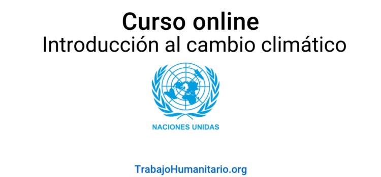 Curso online con la ONU