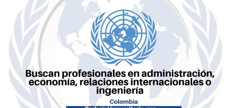 Naciones Unidas busca profesionales para sus vacantes