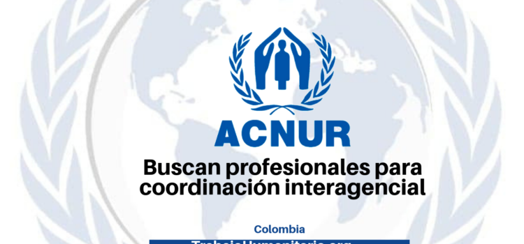 ACNUR busca profesionales con experiencia en temas de políticas, estándares, programas y operaciones humanitarias