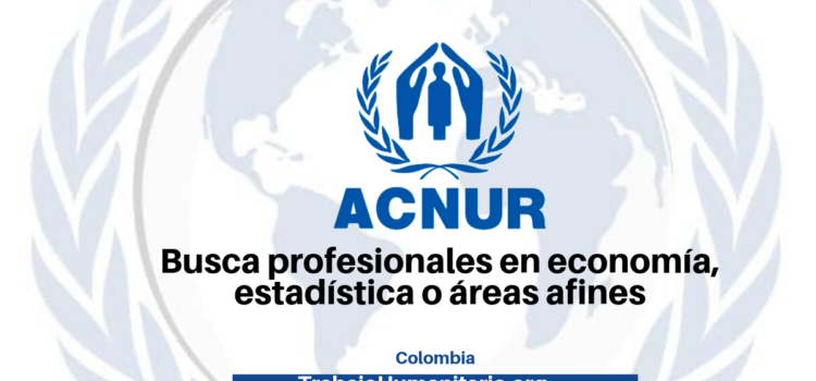 ACNUR busca profesionales con experiencia en temas de estadísticas