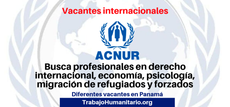 Convocatorias internacionales abiertas para profesionales con ACNUR/UNHCR en Panamá