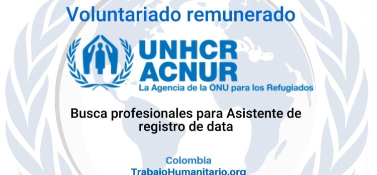 Voluntariado con ACNUR: Auxiliar de Registro de Data