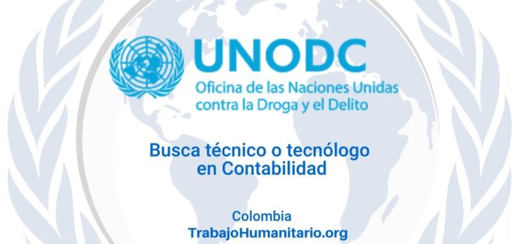 Naciones Unidas: UNODC busca técnicos o tecnólogos en Contabilidad