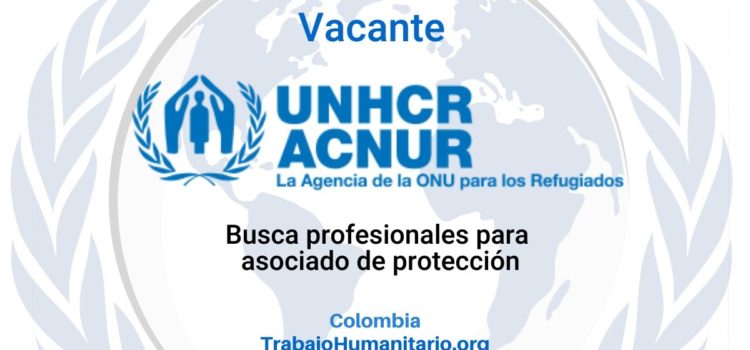 ACNUR busca profesionales para el cargo de Asociado de Protección