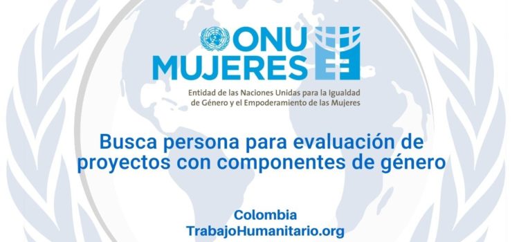 Convocatoria de ONU Mujeres para evaluación de proyectos con componentes de género