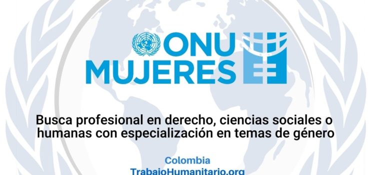 ONU Mujeres busca Experto/a Asistente técnico territorial