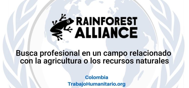 Rainforest Alliance busca Oficial de soporte para socios de certificación
