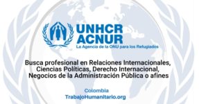 ACNUR busca oficial adjunto de relaciones externas y presentación de informes
