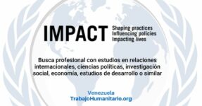 IMPACT Initiatives busca gerente de proyecto y punto focal para Venezuela