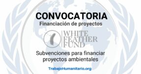 Convocatoria global: The White Feather Foundation financia proyectos ambientales