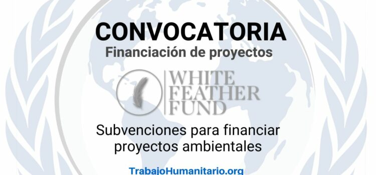Convocatoria global: The White Feather Foundation financia proyectos ambientales